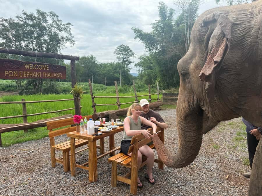 Chiang Mai 2-Day: Good Morning Elephant & Overnight Homestay - Why the Overnight Makes This Elephant Trip Different