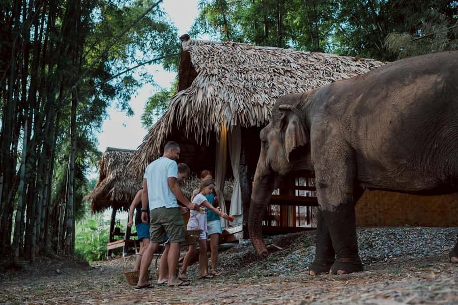 Chiang Mai 2-Day: Good Morning Elephant & Overnight Homestay - Mae Wang Waterfall: A Quick Reset Between Elephant Time and Rafting