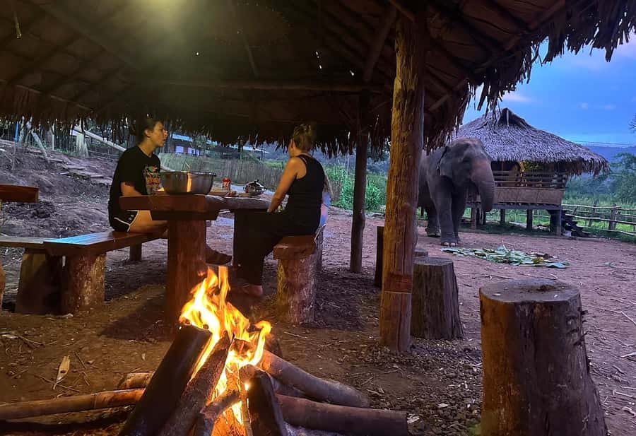 Chiang Mai 2-Day: Good Morning Elephant & Overnight Homestay - Value for $128: What You’re Really Paying For
