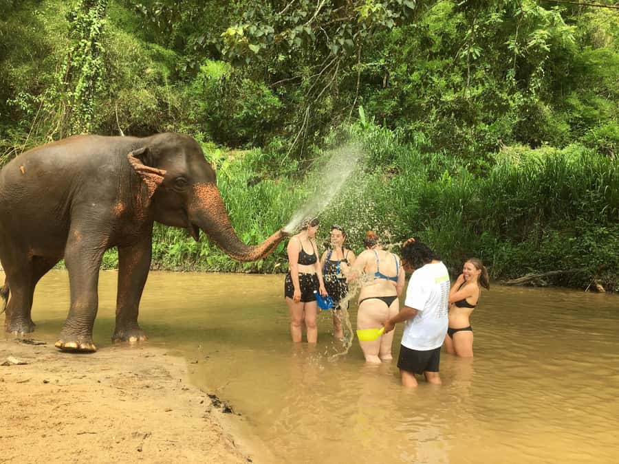 Chiang Mai: 2-Day Jungle Trek with Elephant Farm & Raft Ride - Key highlights worth planning for