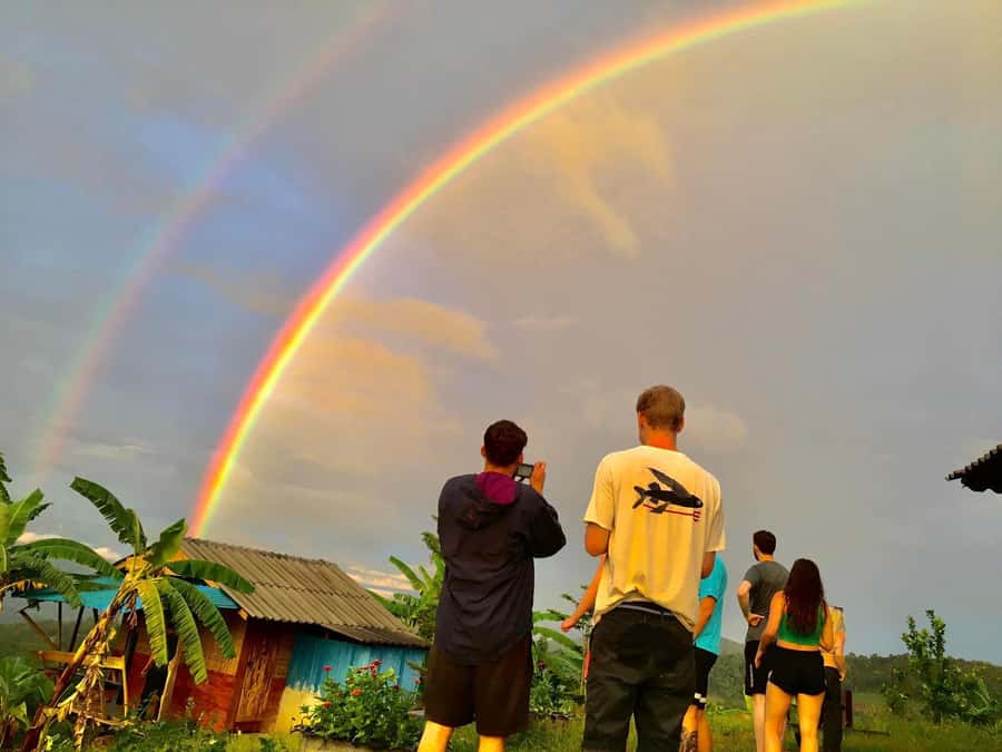 Chiang Mai: 2-Day Jungle Trek with Elephant Farm & Raft Ride - Hike to a jungle waterfall: picnic first, swim second