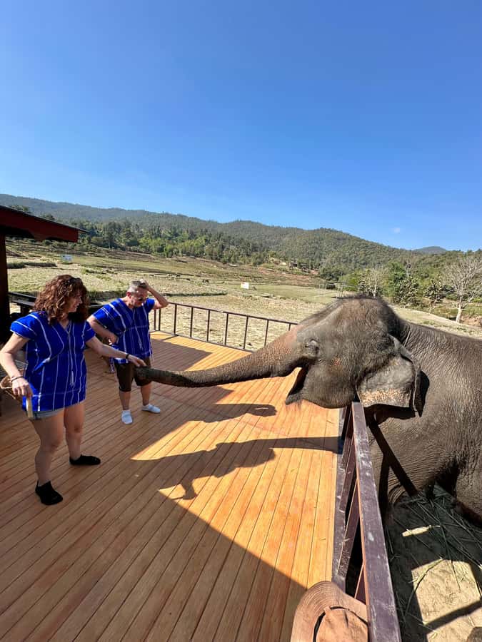 Chiang Mai: 2-Day Tour with Rafting, Elephants, and Waterfall - The jungle house overnight: dinner by an impressive waterfall