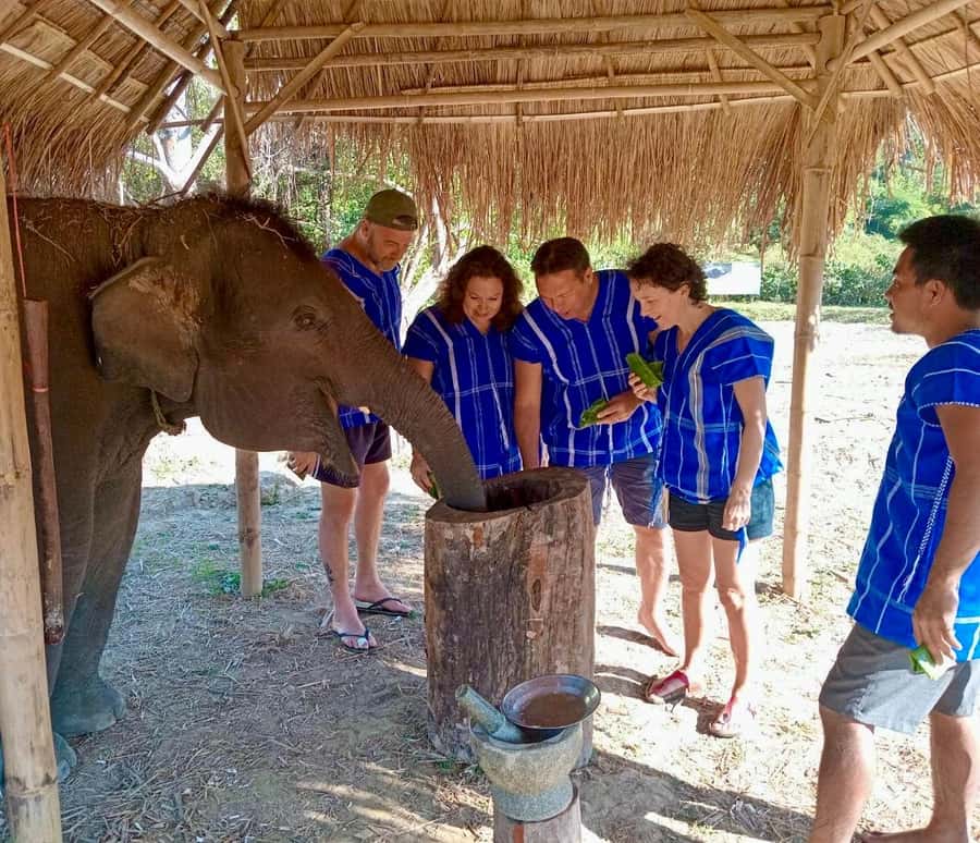Chiang Mai: 2-Day Tour with Rafting, Elephants, and Waterfall - Elephant time: feeding, friendly interaction, and what to expect