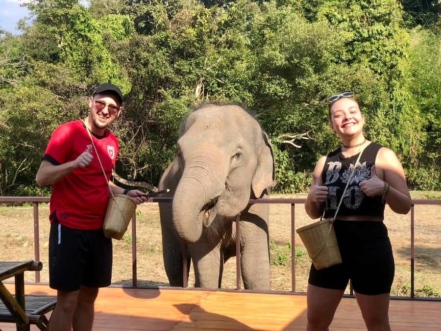 Chiang Mai: 2-Day Tour with Rafting, Elephants, and Waterfall - Elephant bathing on Day 2: why water is part of the routine