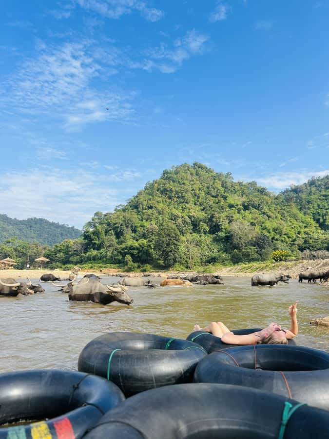 Chiang Mai 2-Day: Trekking, Tubing & Elephant Observation - Private Pool Villa Upgrade: Comfort Boost Without Changing the Whole Vibe