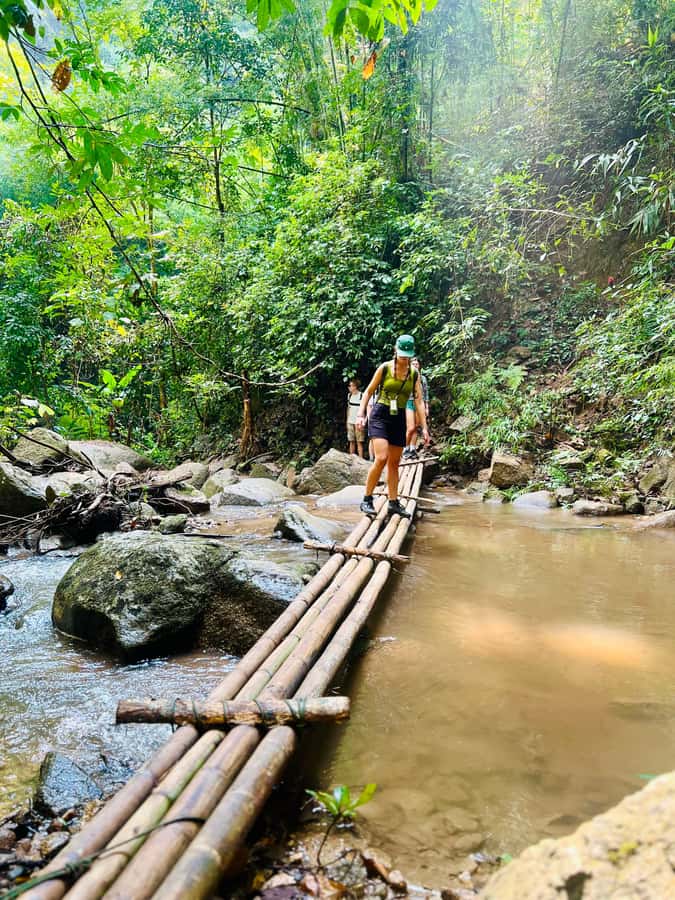 Chiang Mai 2-Day: Trekking, Tubing & Elephant Observation - Day 2: Breakfast, Check-Out, and Optional Mae Taeng Add-Ons