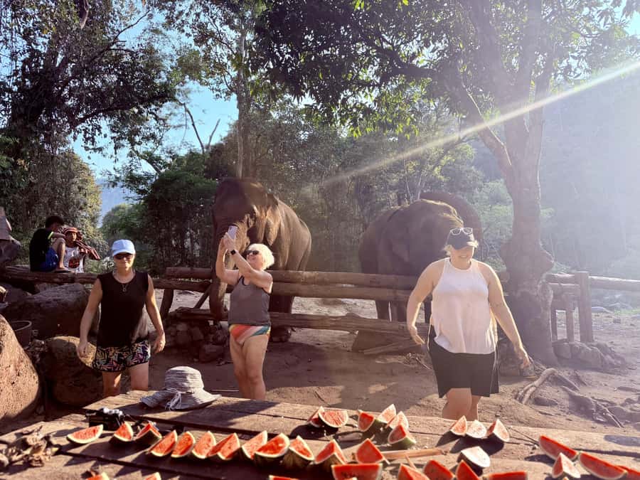 Chiang Mai 2-Day: Trekking, Tubing & Elephant Observation - Price and Value: How $102 Stacks Up for a 2-Day Plan