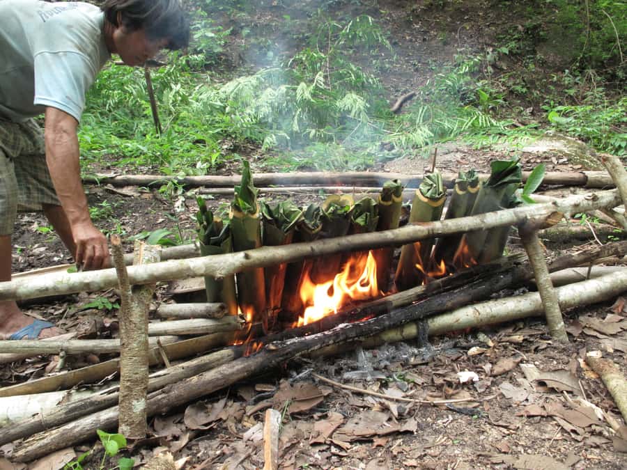 Chiang Mai: 2 Days, 1 Night Non-Tourist Trek - Key Things I’d Put on Your Radar