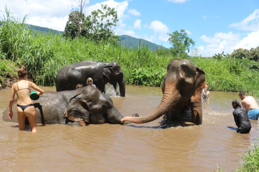 Chiang Mai: 2 Days, 1 Night Non-Tourist Trek - Day Two: Morning Coffee, 2–3 Hour Trek, and Waterfall Time