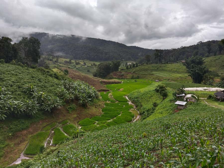 Chiang Mai: 2-Days Chiang Mai Amazing Trek - Who This Tour Fits Best (And Who Might Skip It)
