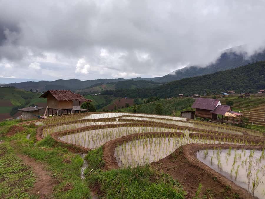 Chiang Mai: 2-Days Chiang Mai Amazing Trek - Day 2: Herbal Medicine Lessons, Waterfall Stops, and Stream Crossings