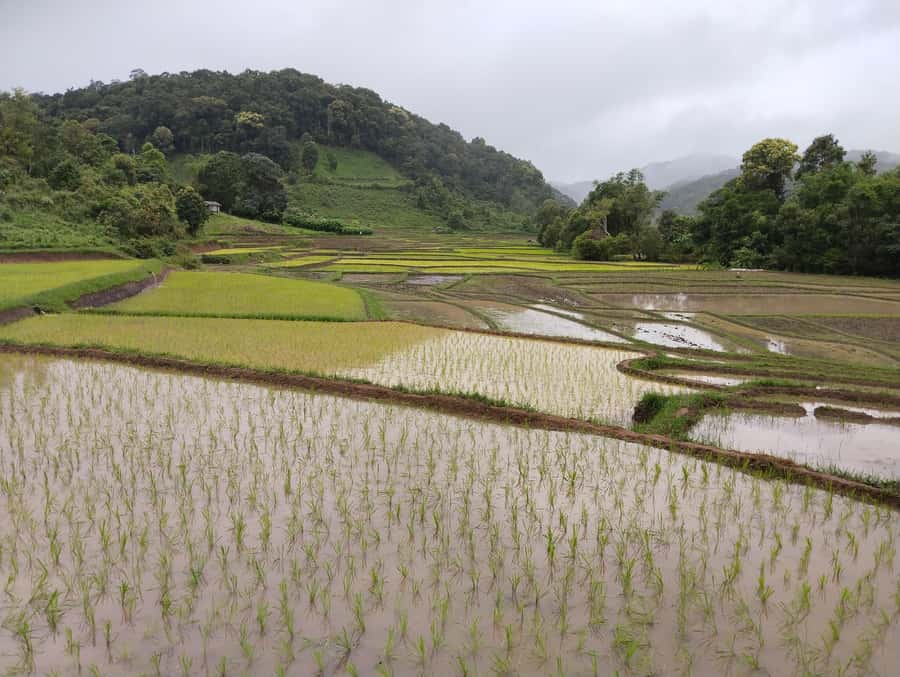 Chiang Mai: 2-Days Chiang Mai Amazing Trek - Price and Value: Is $108 Fair for Two Days Like This?