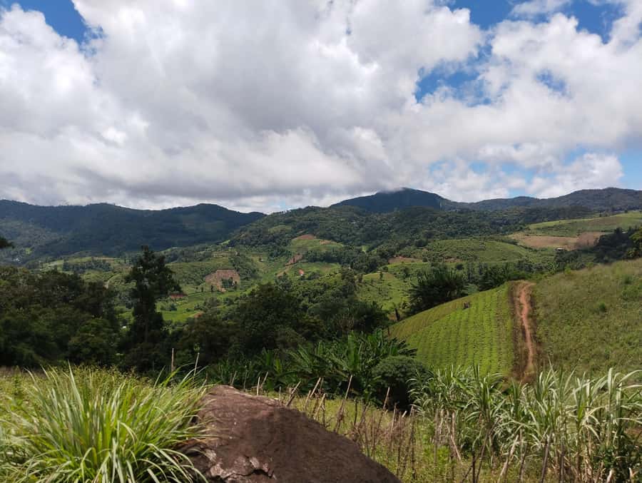 Chiang Mai: 2-Days Chiang Mai Amazing Trek - The Countryside Market Stop and Local Lunches (How You’ll Eat)