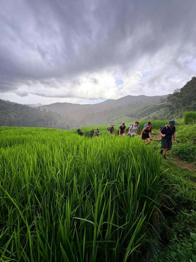 Chiang Mai: 2-Days Jungle Trek, Waterfalls and Karen Village - Fitness, Packing, and Comfort: What the Trek Really Costs Your Body