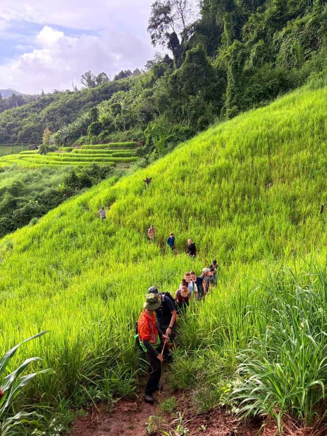 Chiang Mai: 2-Days Jungle Trek, Waterfalls and Karen Village - Who This Chiang Mai Trek Suits Best (and Who Should Skip It)