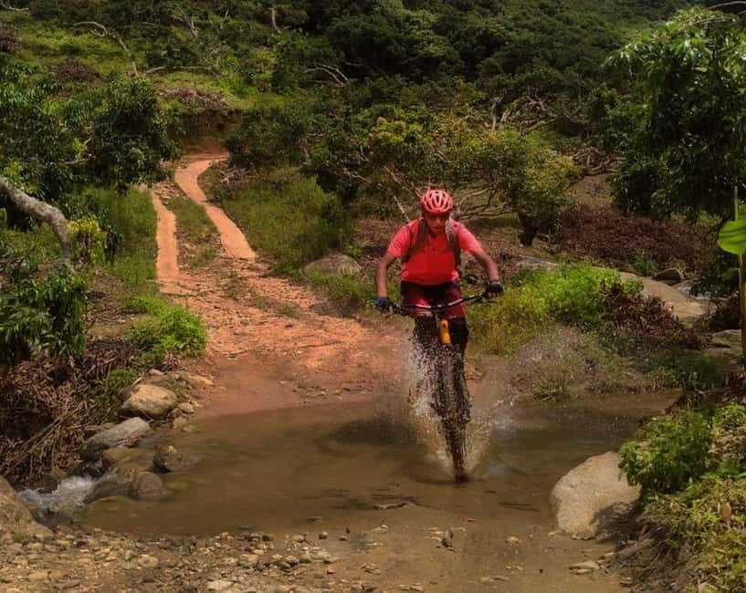 Chiang Mai: 20km Downhill Mountain Biking Challenge Suthep M - Key things you’ll remember from this Chiang Mai MTB day