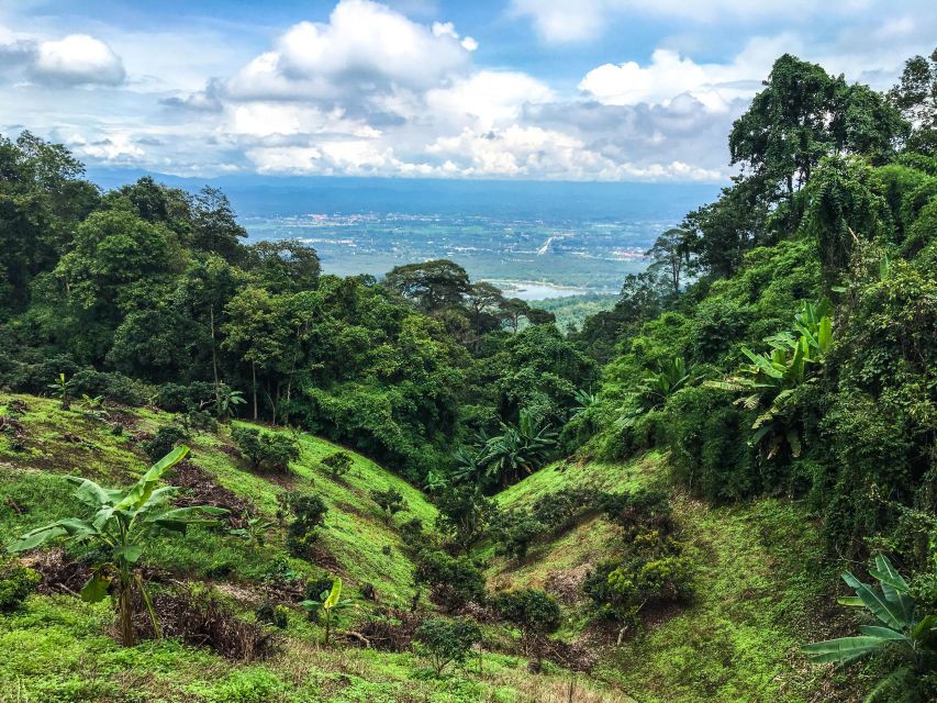 Chiang Mai: 20km Downhill Mountain Biking Challenge Suthep M - The main downhill run: forest tracks, hill tribe villages, and real viewpoints