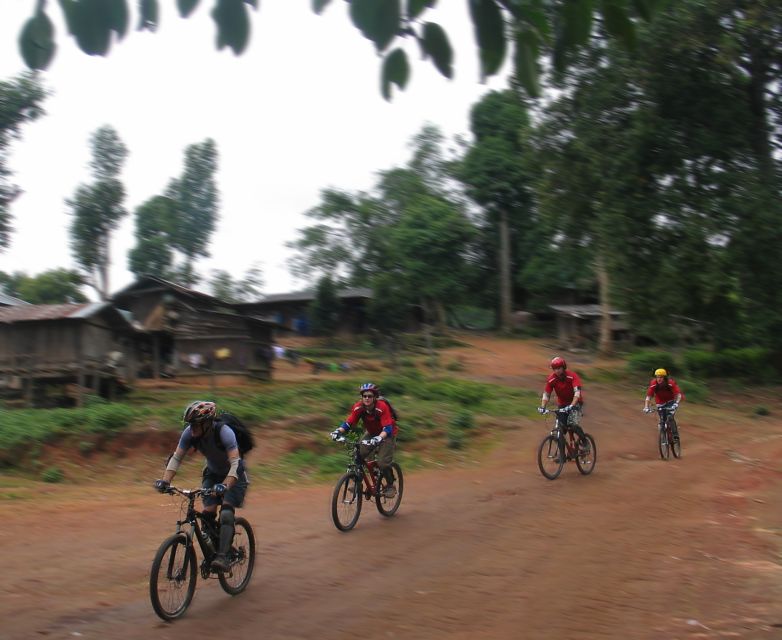 Chiang Mai: 20km Downhill Mountain Biking Challenge Suthep M - Transport and support: van, truck, and secure storage for your stuff