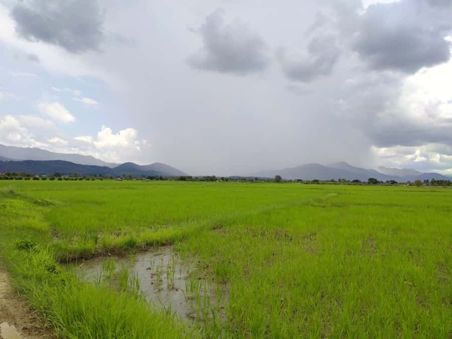 Chiang Mai: 25km Leisure Mountain Biking & Jungle Kayaking - What to Bring (So You Don’t Spend the Day Complaining Under Your Breath)