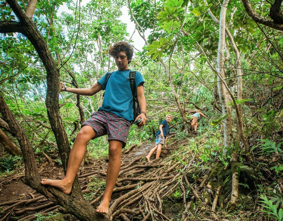 Chiang Mai: 3-Day Karen Hill Tribe Immersion with Trekking - Key highlights worth planning around