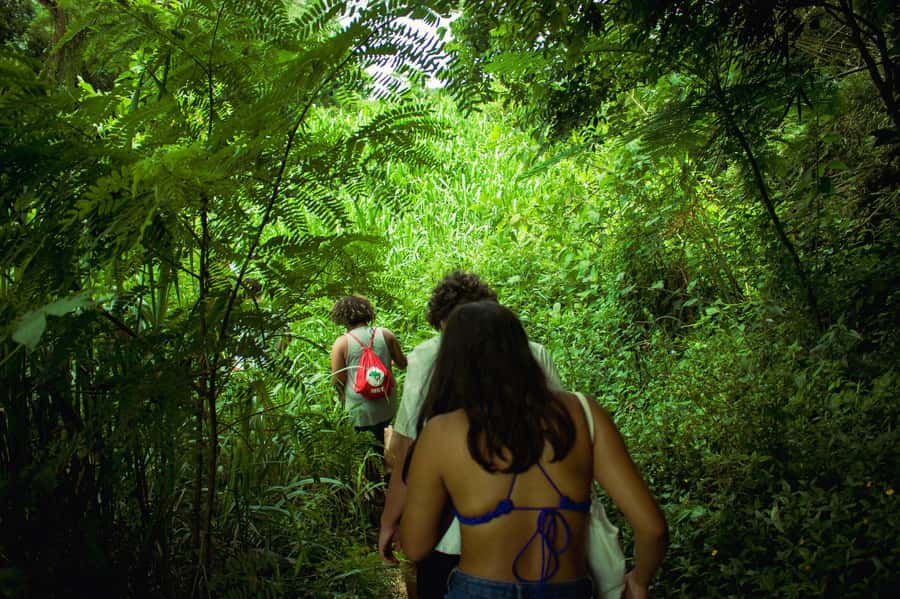Chiang Mai: 3-Day Karen Hill Tribe Immersion with Trekking - Karen hill tribe life in Doi Inthanon: more than a hike