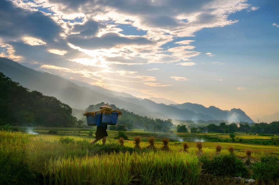 Chiang Mai: 3-Day Karen Hill Tribe Immersion with Trekking - Day 2: wildlife forest, village culture, and two different home rhythms