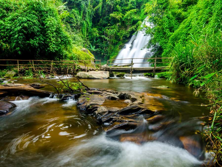 Chiang Mai: 3-Day Karen Hill Tribe Immersion with Trekking - Day 3: cloud forest walking, up to five waterfall swims, and the farewell meal