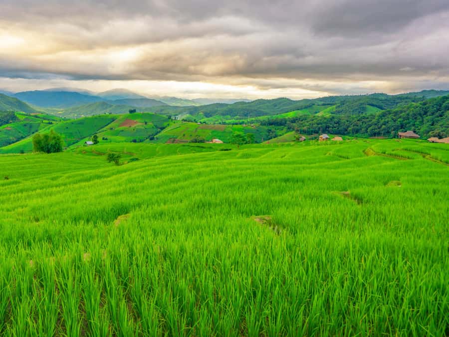 Chiang Mai: 3-Day Karen Hill Tribe Immersion with Trekking - Camps, cold showers, and the off-grid expectation you should respect