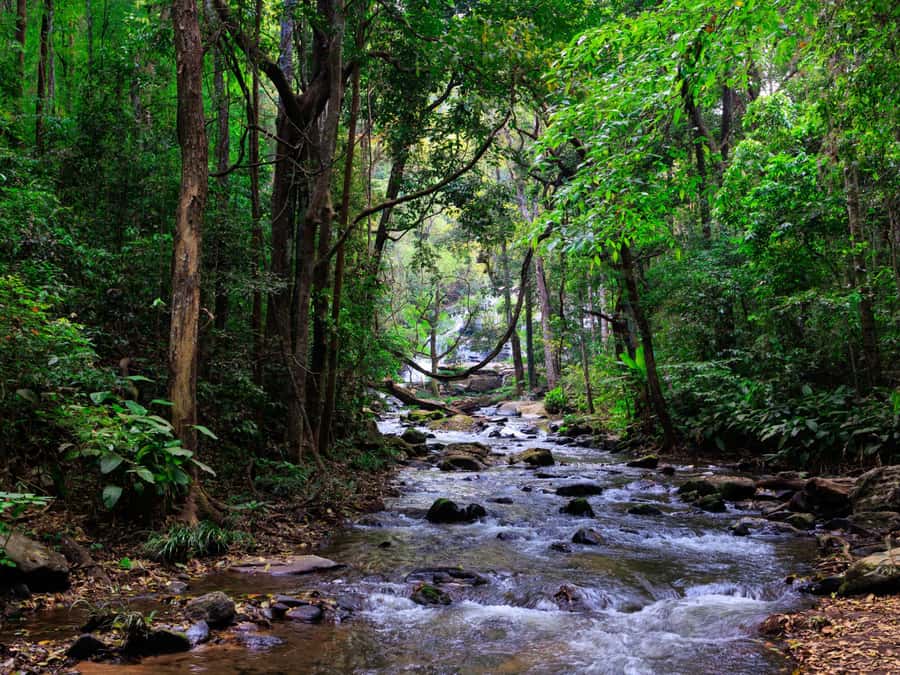 Chiang Mai: 3-Day Karen Hill Tribe Immersion with Trekking - Price and value: is $158 fair for this kind of access?