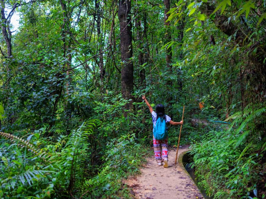 Chiang Mai: 3-Day Karen Hill Tribe Immersion with Trekking - Day 1: forest paths, waterfall lunch, and firelight cooking