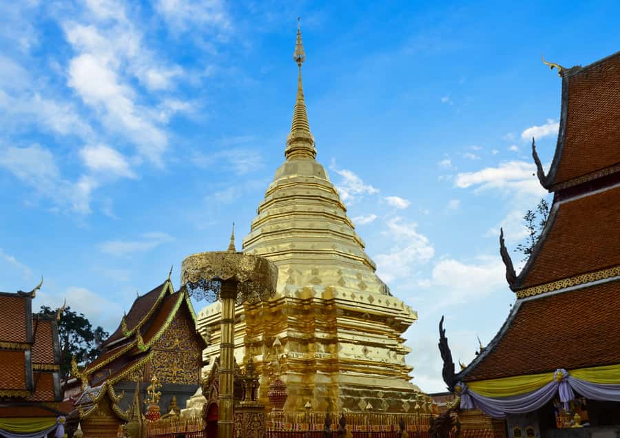 Chiang Mai: 4-hour Doi Suthep, Wat Umong, & Wat Phalat Tour - Key takeaways before you go
