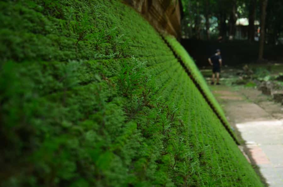 Chiang Mai: 4-hour Doi Suthep, Wat Umong, & Wat Phalat Tour - Wat Pha Lat: jungle shrines and a waterfall that changes the air