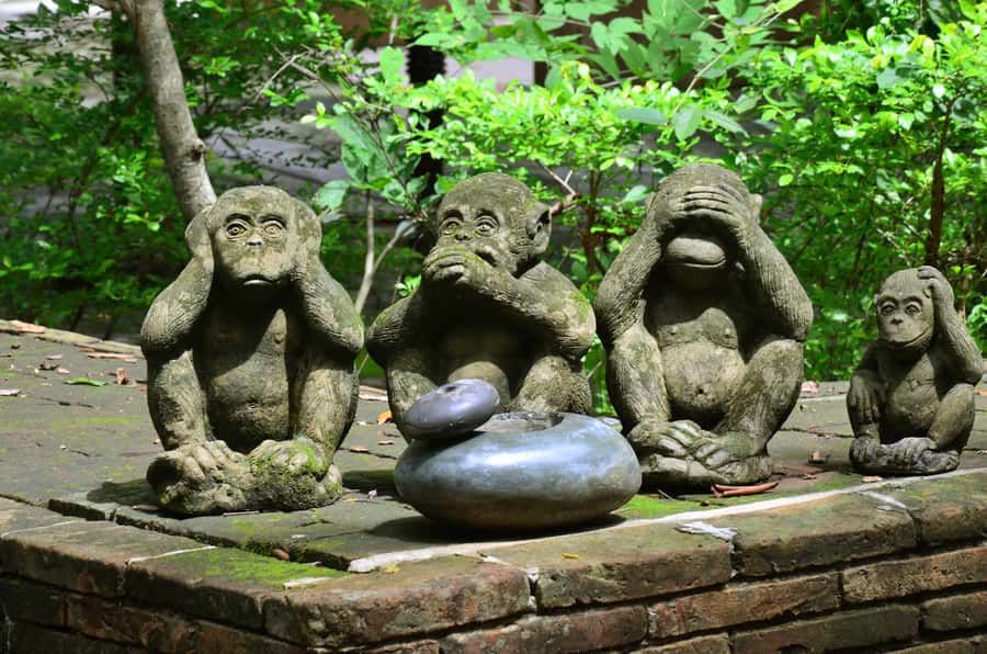 Chiang Mai: 4-hour Doi Suthep, Wat Umong, & Wat Phalat Tour - What you actually pay for: $102 private charter value