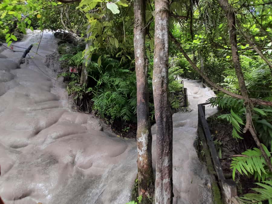 Chiang Mai: 4-Hour Sticky Waterfall Private Tour - The drive out: a countryside break from city pacing