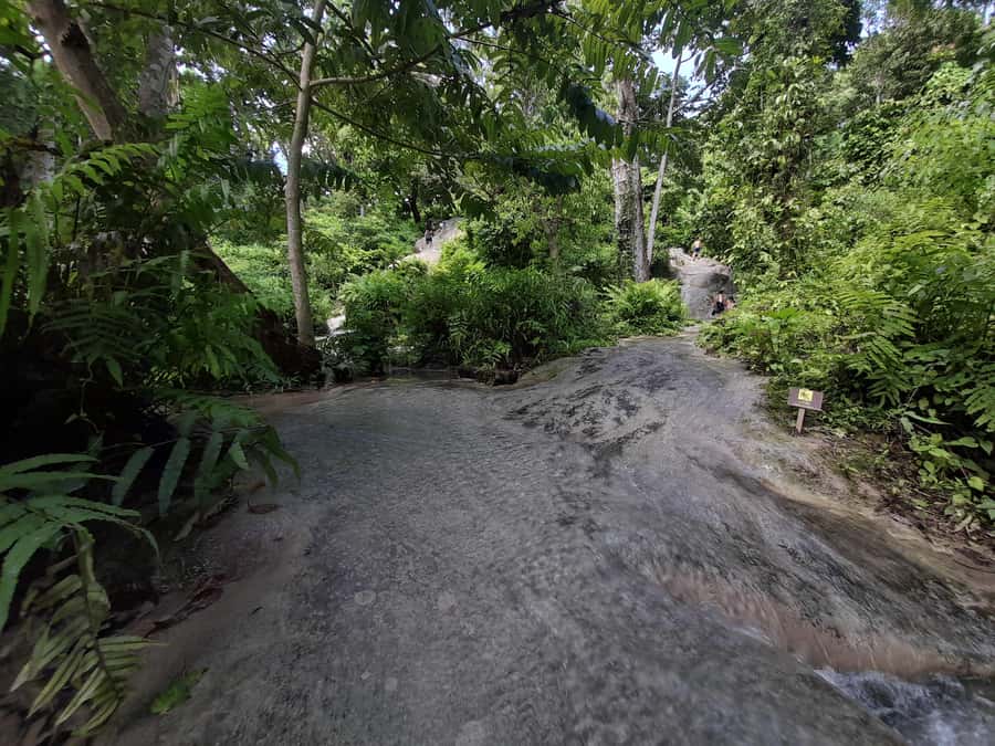 Chiang Mai: 4-Hour Sticky Waterfall Private Tour - Arriving at Bua Thong: your self-guided waterfall time