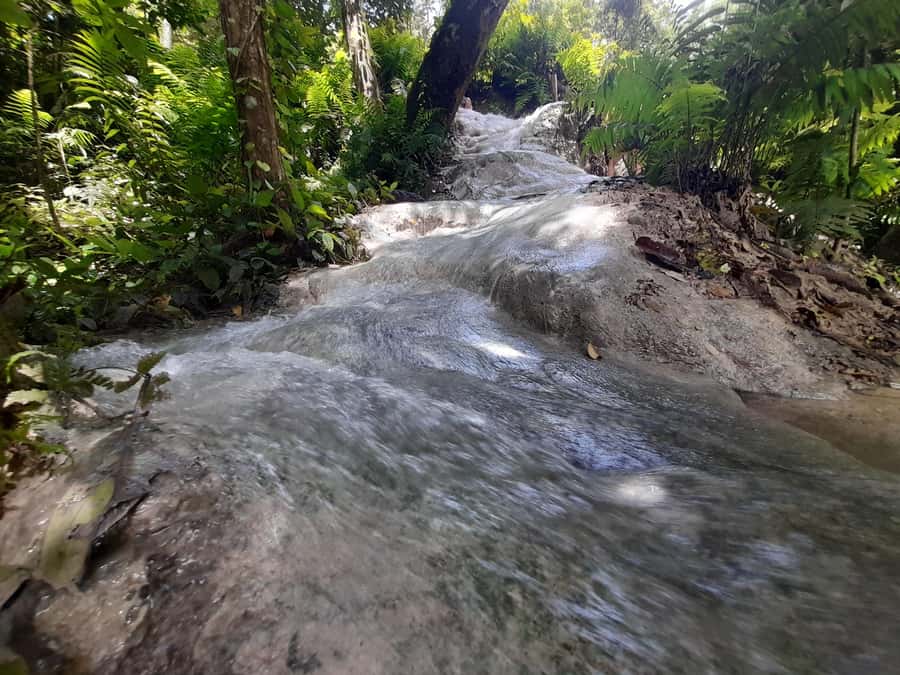 Chiang Mai: 4-Hour Sticky Waterfall Private Tour - What to bring: the small stuff that makes a big difference
