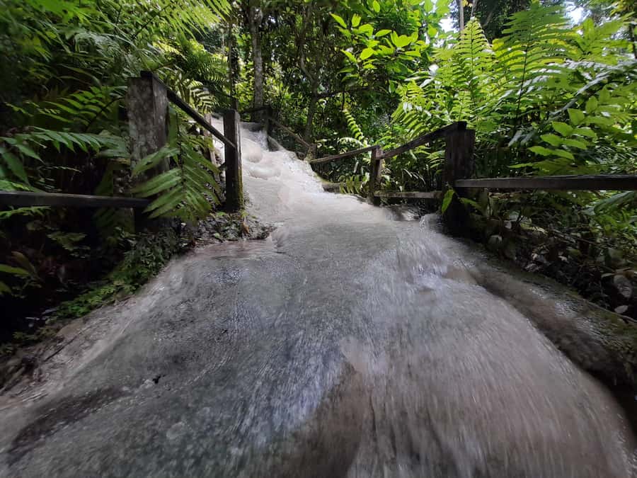 Chiang Mai: 4-Hour Sticky Waterfall Private Tour - When to go for fewer crowds