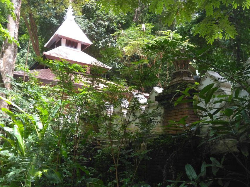 Chiang Mai: 7-Hour Doi Suthep National Park Summit Hiking - Into Doi Suthep-Pui National Park: where the day earns its name