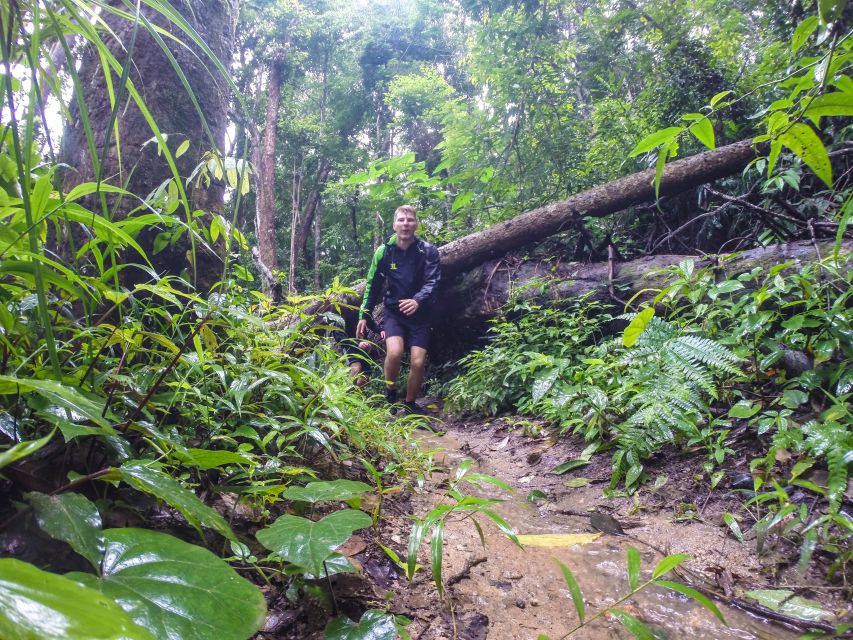 Chiang Mai: 7-Hour Doi Suthep National Park Summit Hiking - Doi Pui highland village: a break with culture and open air