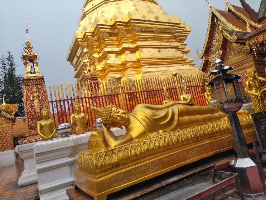 Chiang Mai: 7-Hour Doi Suthep National Park Summit Hiking - What the trail feels like: steep, uneven, and worth training for