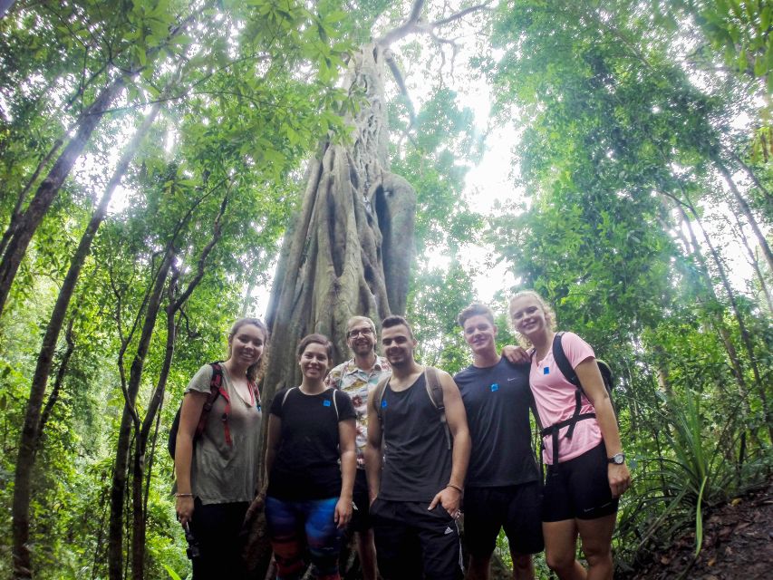Chiang Mai: 7-Hour Doi Suthep National Park Summit Hiking - From Chiang Mai to Wat Doi Suthep: the climb sets the pace