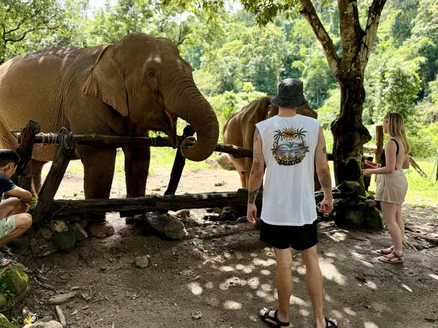 Chiang Mai Adventure: Trekking, Tubing & Waterfall Slide - Lunch at the base camp: the “you’ll thank yourself later” stop