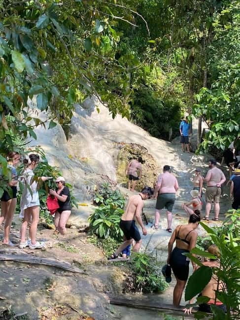 Chiang Mai: Afternoon Bua Tong Sticky Waterfall by Red Taxi - Key Things You’ll Notice on This Bua Tong Trip