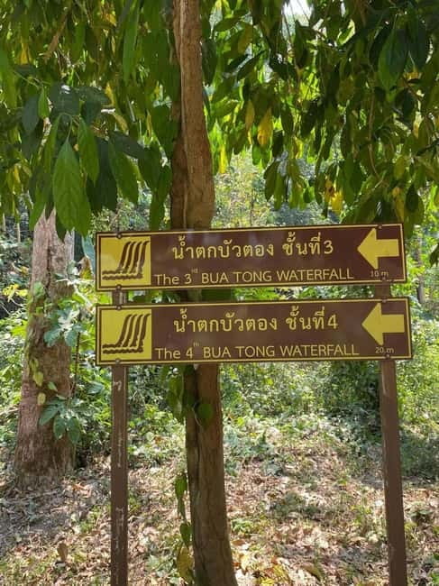 Chiang Mai: Afternoon Bua Tong Sticky Waterfall by Red Taxi - What’s Included (and What You Still Need to Handle)