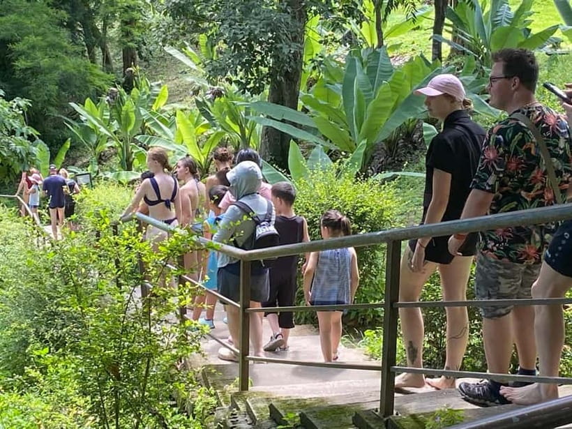 Chiang Mai: Afternoon Bua Tong Sticky Waterfall by Red Taxi - Who Should Book This Sticky Waterfall Experience