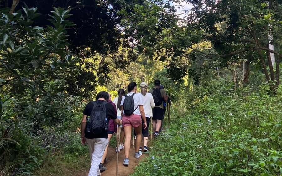 Chiang Mai: ATV Adventure, Jungle Hike & White Water Rafting - Who this day tour fits best (and who should skip)