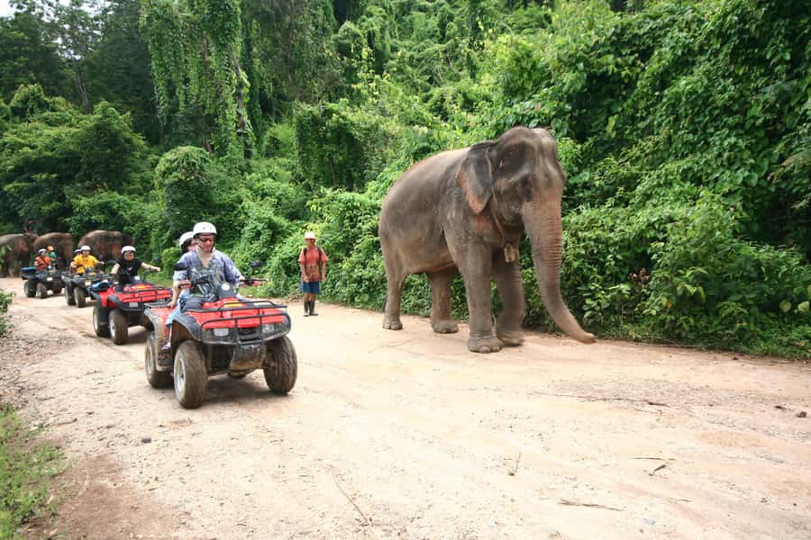 Chiang Mai : ATV Tour - Pickup, lunch, and how the day actually flows for 7 hours