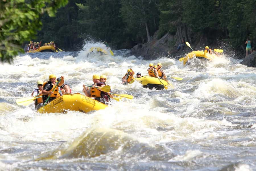 Chiang Mai ATV & White Water Rafting & Trekking to Waterfall - One Day, Three Big Set Pieces: From Hotel to Jungle and Back