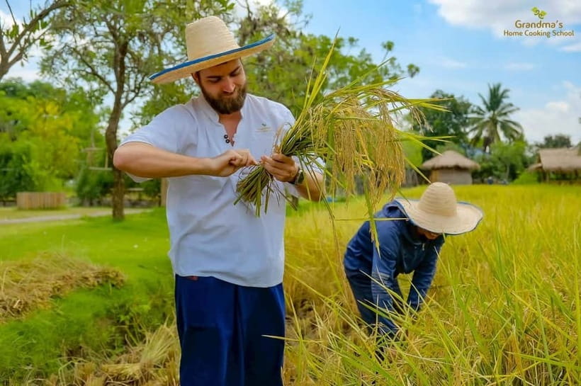 Chiang Mai: Authentic Cooking Class with Market & Farm Visit - Curry pastes, curries, and noodle soup: what you’ll be learning as you cook