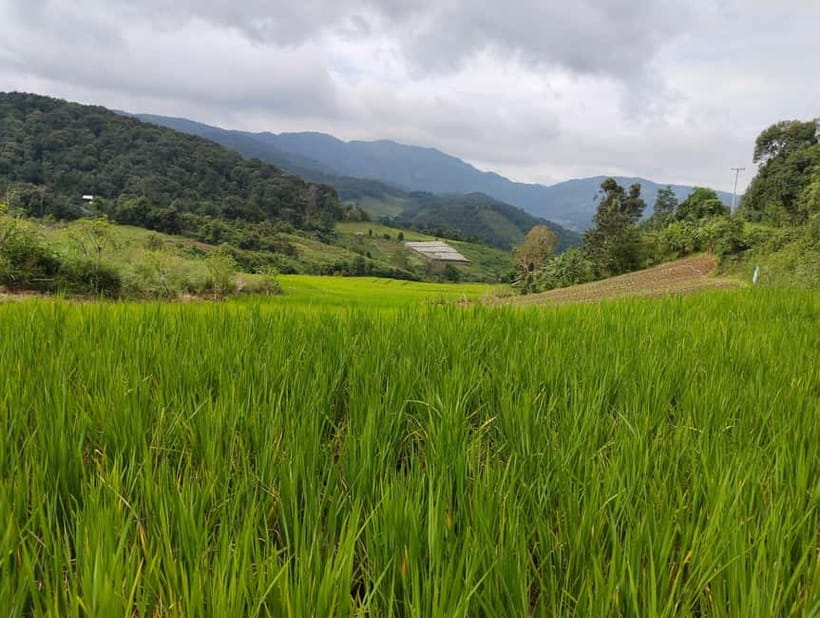 Chiang Mai Authentic Trekking - Chiang Mai Authentic Trekking: what this day is really about